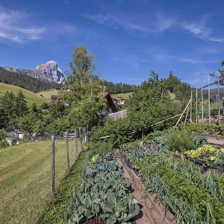 Haus Belodei - Apt B San Martino in Badia Exteriér fotografie